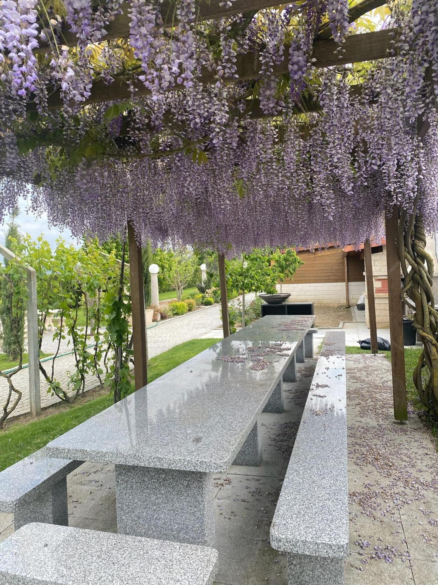 Gites Des Sablons Châtillon-sur-Marne エクステリア 写真